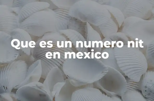 Que es un Numero Nit en Mexico
