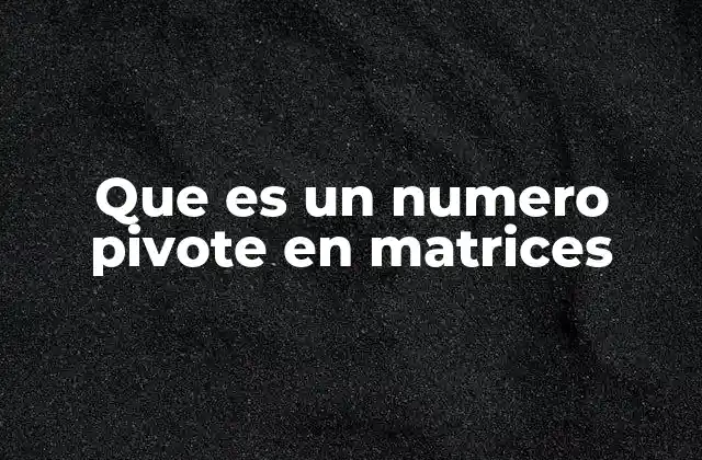 Que es un Numero Pivote en Matrices