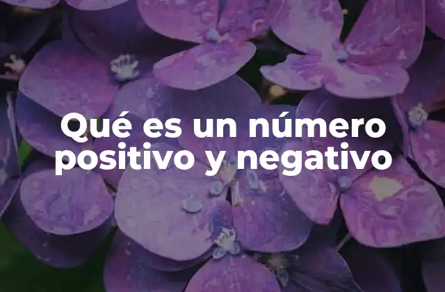 Qué es un Número Positivo y Negativo