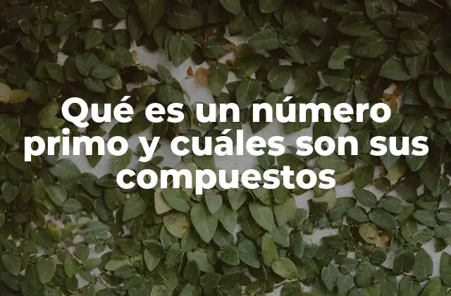 Qué es un Número Primo y Cuáles Son Sus Compuestos