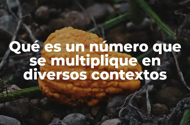 Qué es un Número que Se Multiplique en Diversos Contextos 2 El papel de los números multiplicadores en el desarrollo matemático