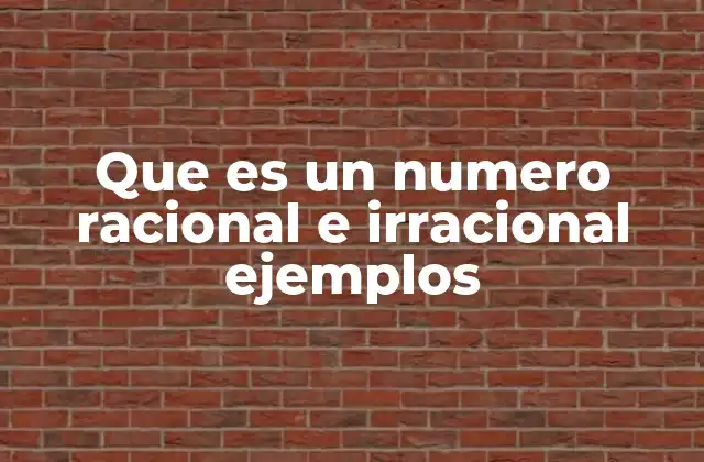 Que es un Numero Racional e Irracional Ejemplos