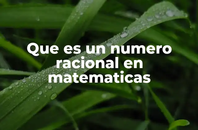 Que es un Numero Racional en Matematicas