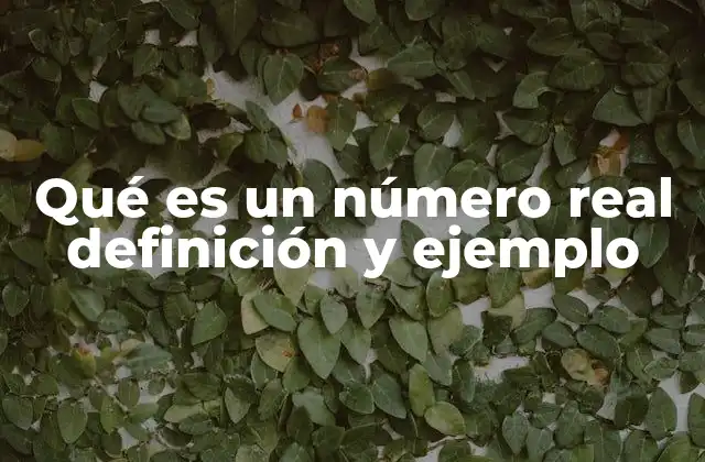 Qué es un Número Real Definición y Ejemplo