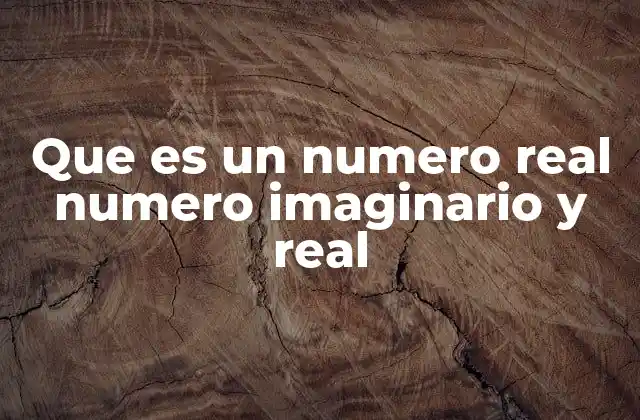 Que es un Numero Real Numero Imaginario y Real