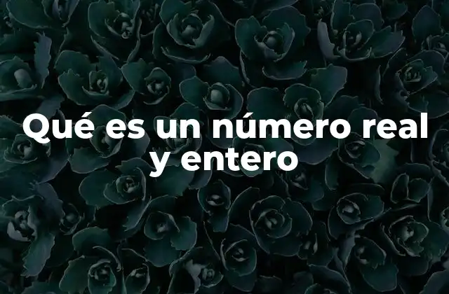 Qué es un Número Real y Entero