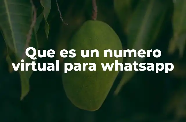 Cómo funciona un número virtual para WhatsApp