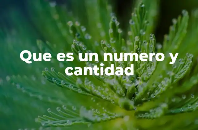 La relación entre símbolos numéricos y el mundo real