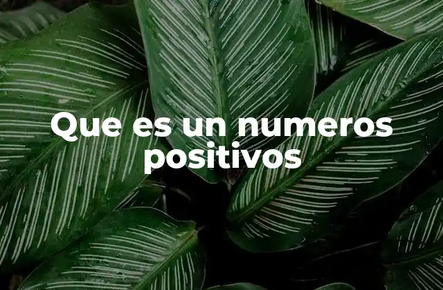 Que es un Numeros Positivos 2 Los números positivos en el contexto de las matemáticas básicas