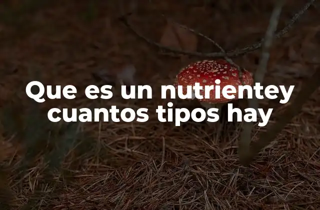 Que es un Nutrientey Cuantos Tipos Hay