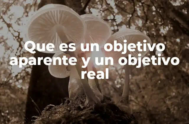 Que es un Objetivo Aparente y un Objetivo Real