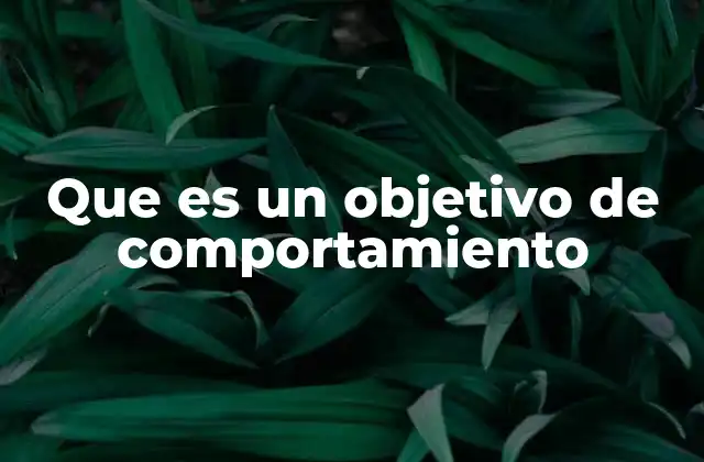 Que es un Objetivo de Comportamiento