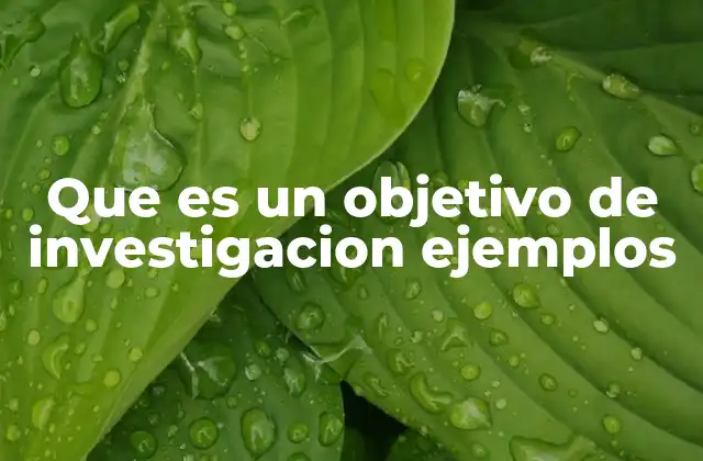 Que es un Objetivo de Investigacion Ejemplos