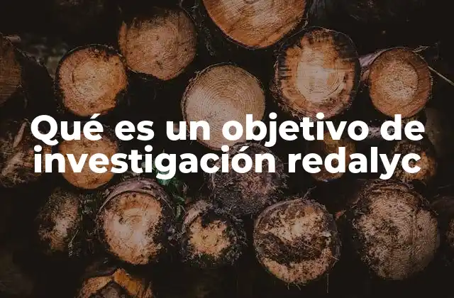 Qué es un Objetivo de Investigación Redalyc