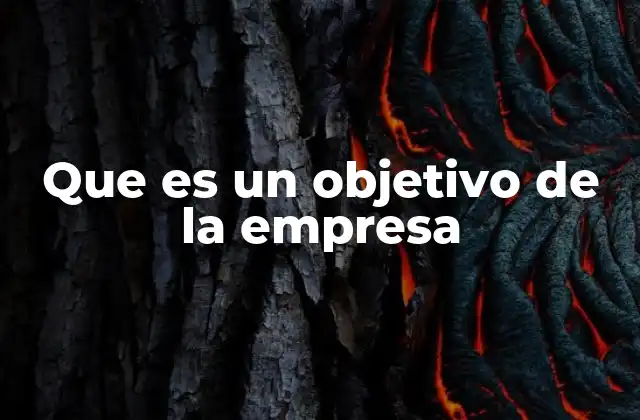 Que es un Objetivo de la Empresa