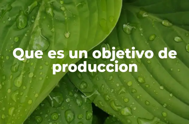 Que es un Objetivo de Produccion