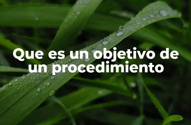 Que es un Objetivo de un Procedimiento