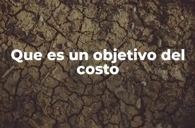 Que es un Objetivo Del Costo