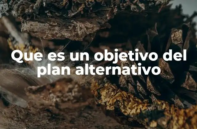 Que es un Objetivo Del Plan Alternativo