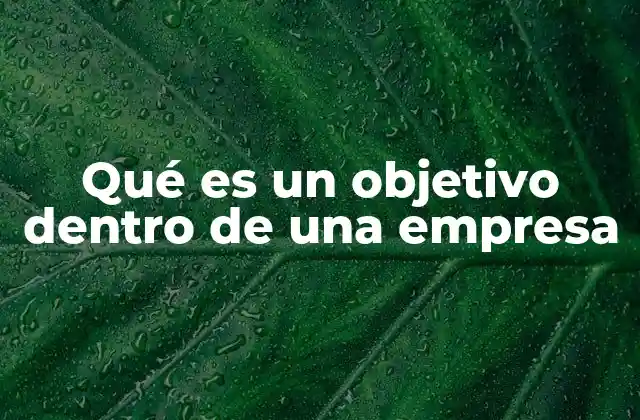 Qué es un Objetivo Dentro de una Empresa