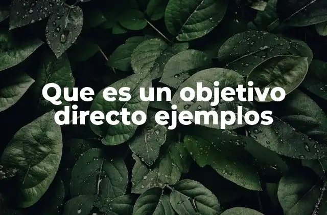 Que es un Objetivo Directo Ejemplos