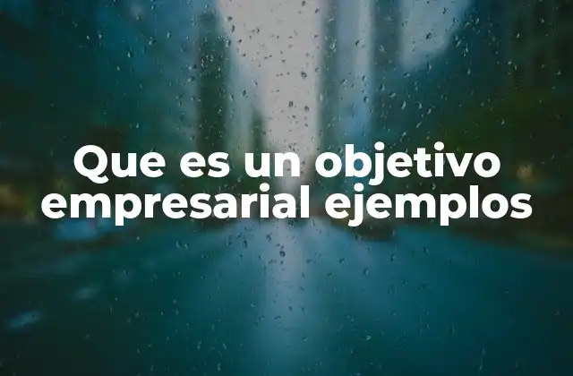 Que es un Objetivo Empresarial Ejemplos