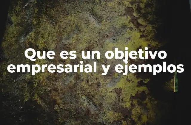 Que es un Objetivo Empresarial y Ejemplos