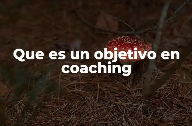 Que es un Objetivo en Coaching
