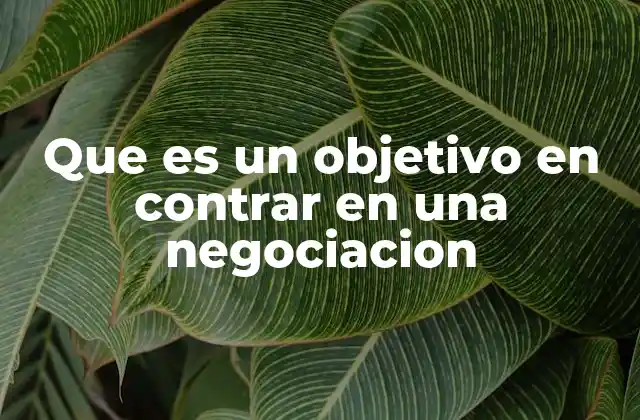 Que es un Objetivo en Contrar en una Negociacion