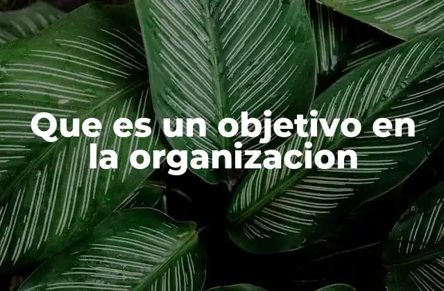 Que es un Objetivo en la Organizacion