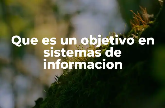 Que es un Objetivo en Sistemas de Informacion
