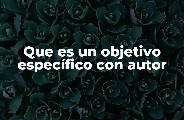 Que es un Objetivo Específico con Autor