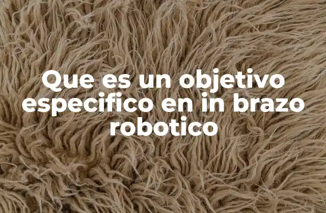 Que es un Objetivo Especifico en In Brazo Robotico