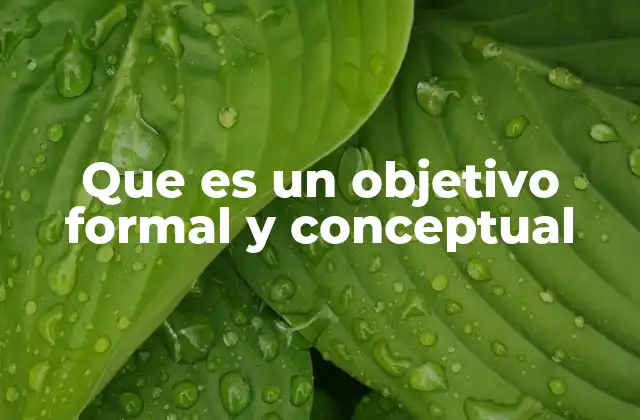 Que es un Objetivo Formal y Conceptual