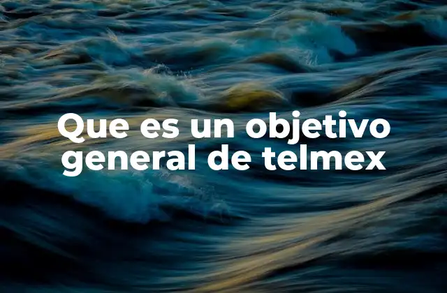 Que es un Objetivo General de Telmex