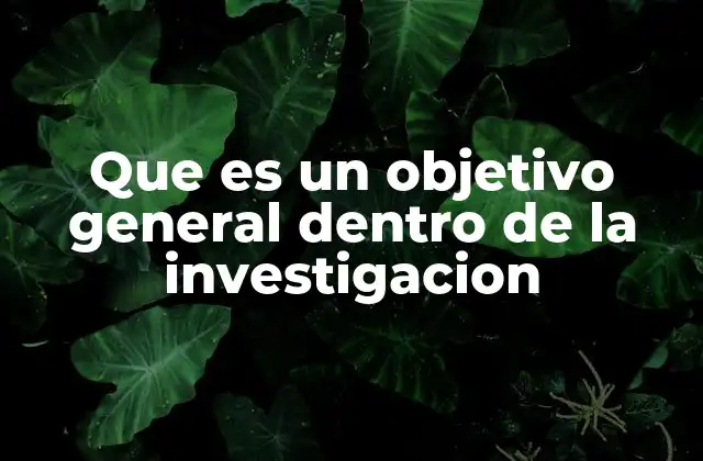 Que es un Objetivo General Dentro de la Investigacion