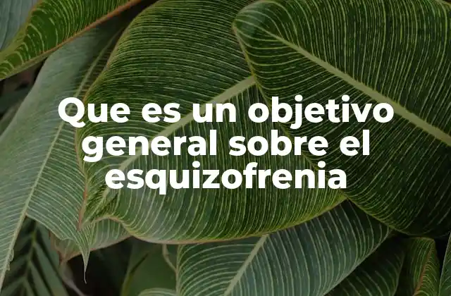 Que es un Objetivo General sobre el Esquizofrenia