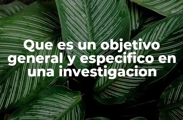Que es un Objetivo General y Especifico en una Investigacion