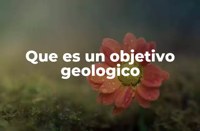 La importancia de los objetivos en la exploración geológica
