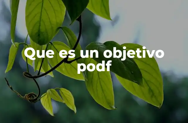 Que es un Objetivo Podf
