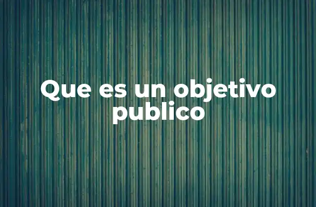 Que es un Objetivo Publico
