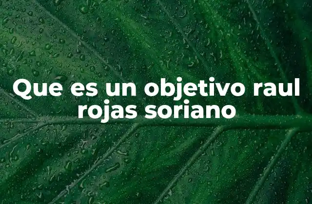Características de un objetivo Raul Rojas Soriano