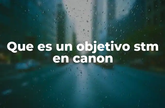 Que es un Objetivo Stm en Canon