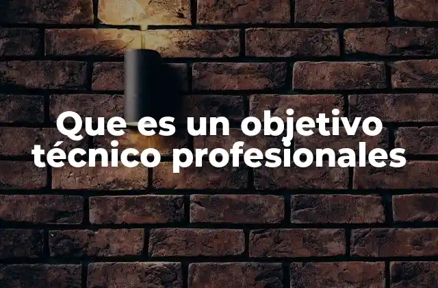 Que es un Objetivo Técnico Profesionales