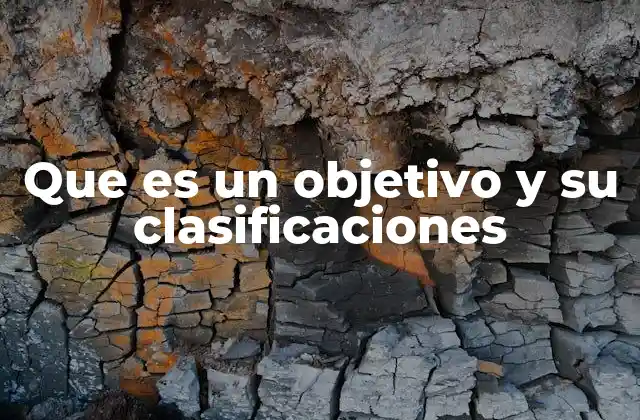 Que es un Objetivo y Su Clasificaciones
