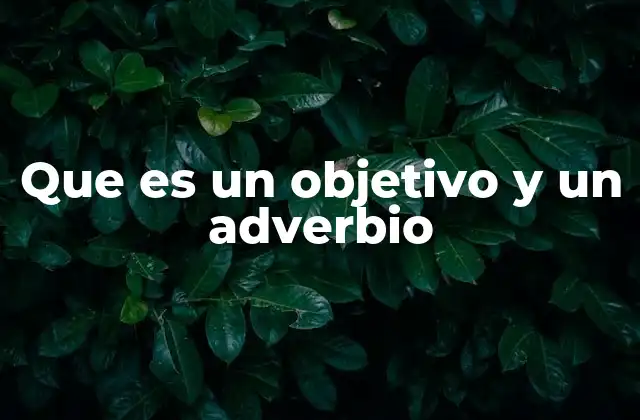 Que es un Objetivo y un Adverbio