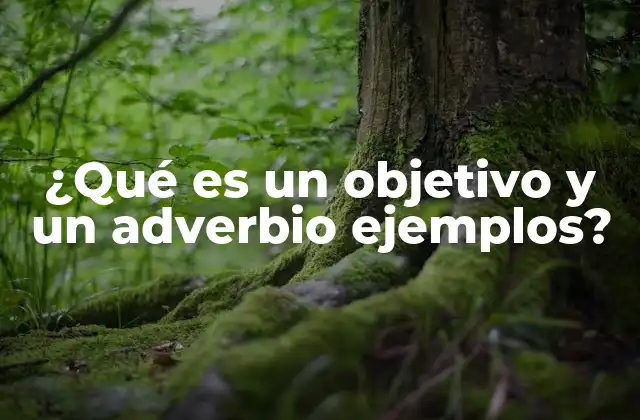 ¿qué es un Objetivo y un Adverbio Ejemplos?