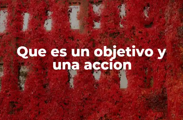 Que es un Objetivo y una Accion