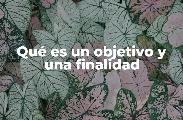 Qué es un Objetivo y una Finalidad