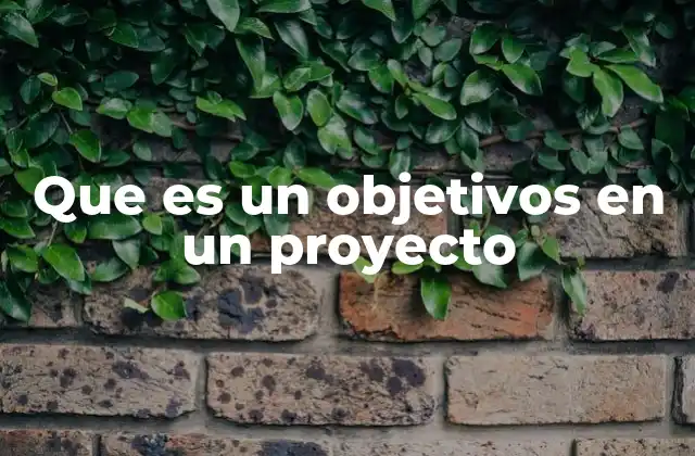 Que es un Objetivos en un Proyecto